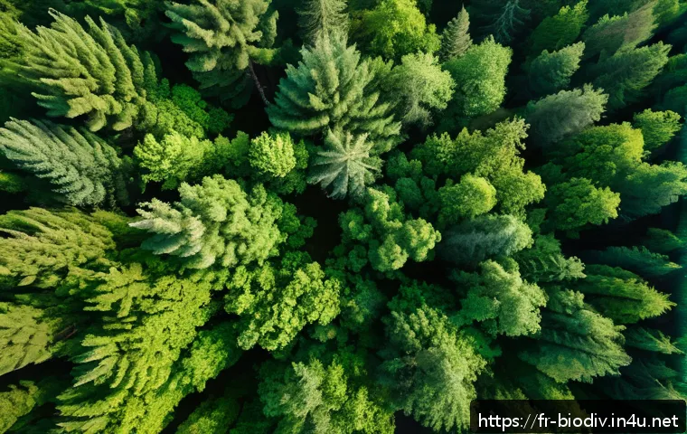 생물다양성 보전 관련 최신 기술 - A detailed aerial view of a lush protected forest captured by an advanced drone flying at low altitu...