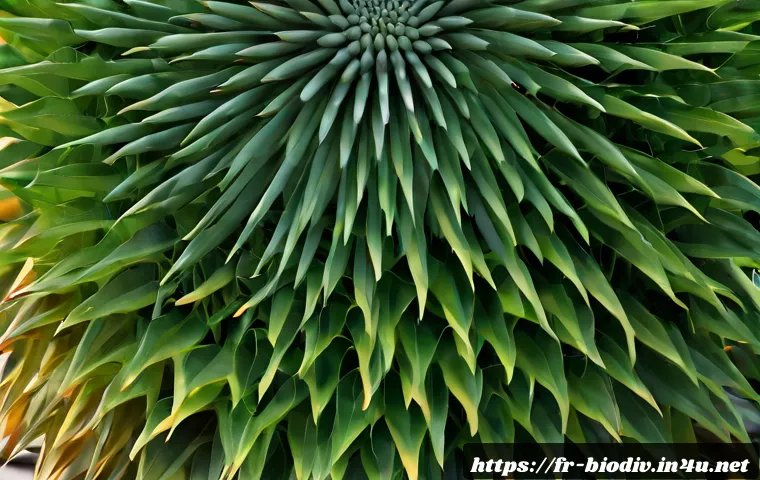 Acquérir une expérience de terrain en conservation de la biodiversité : missions, coûts et critères de choix 4 생물다양성 보전 실습 경험 관련 이미지 2